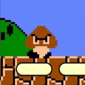 Meet your Posher, Katy